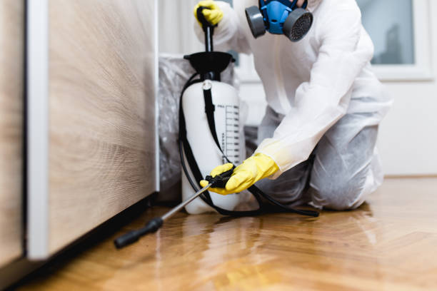 Best Wasp Removal Services  in Scappoose, OR